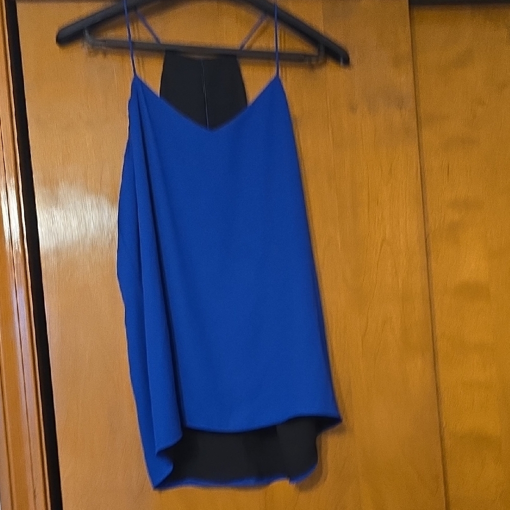 Express Royal Blue Double-Layer Spaghetti Strap Cami